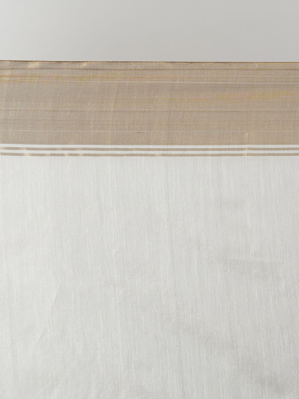 Kaushi - Chanderi Silk Saree