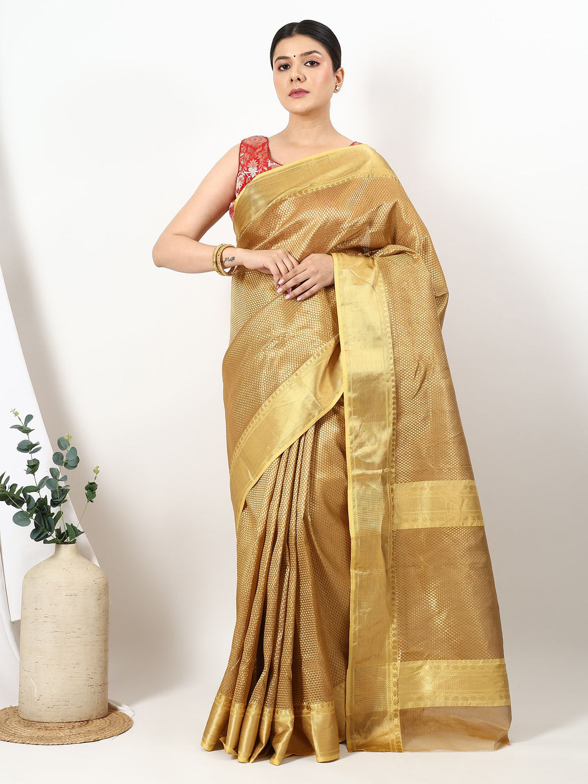 Rekha Taraj - Chanderi Silk Saree