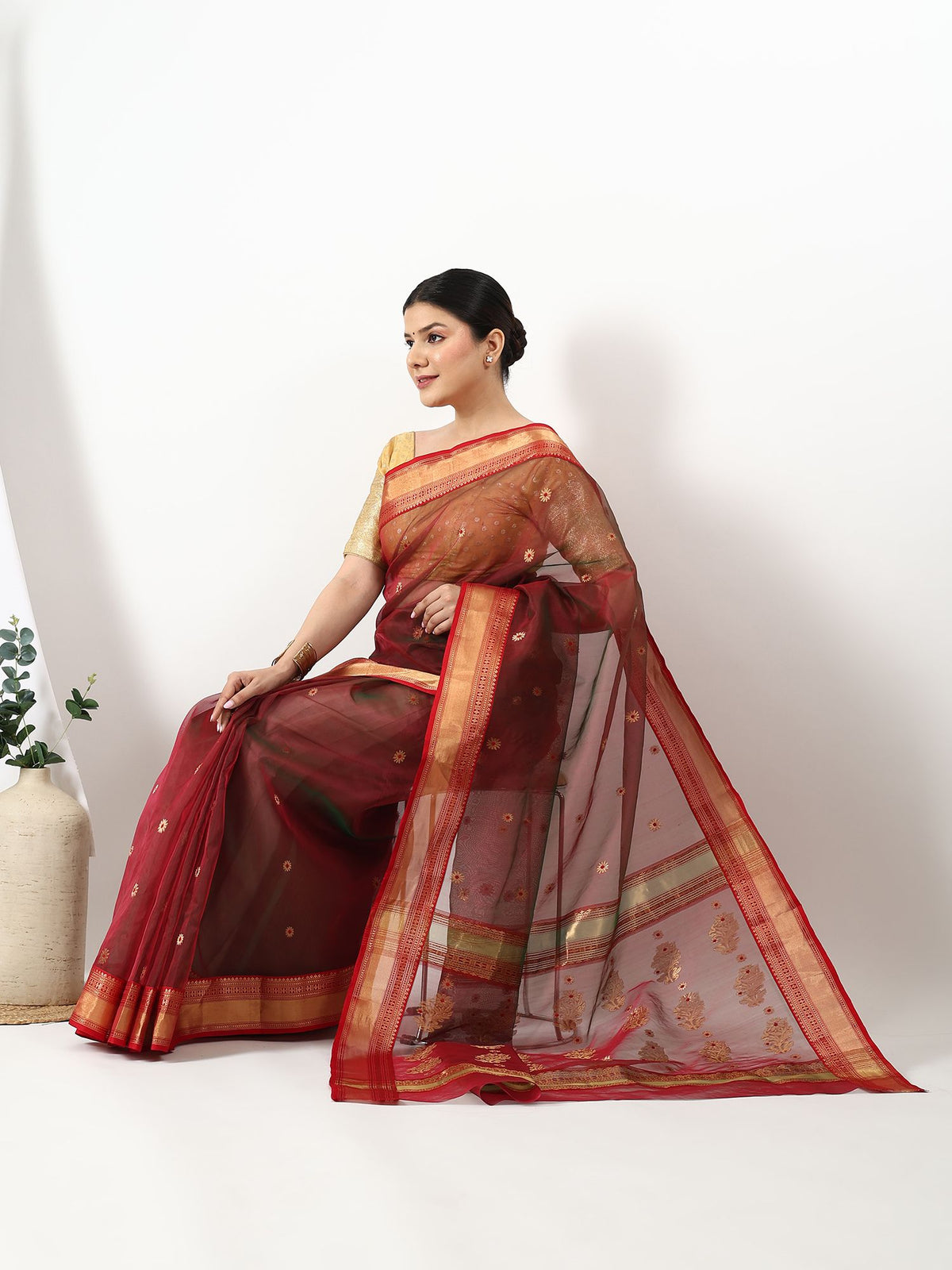 Meenakari Chand - Chanderi Silk Saree