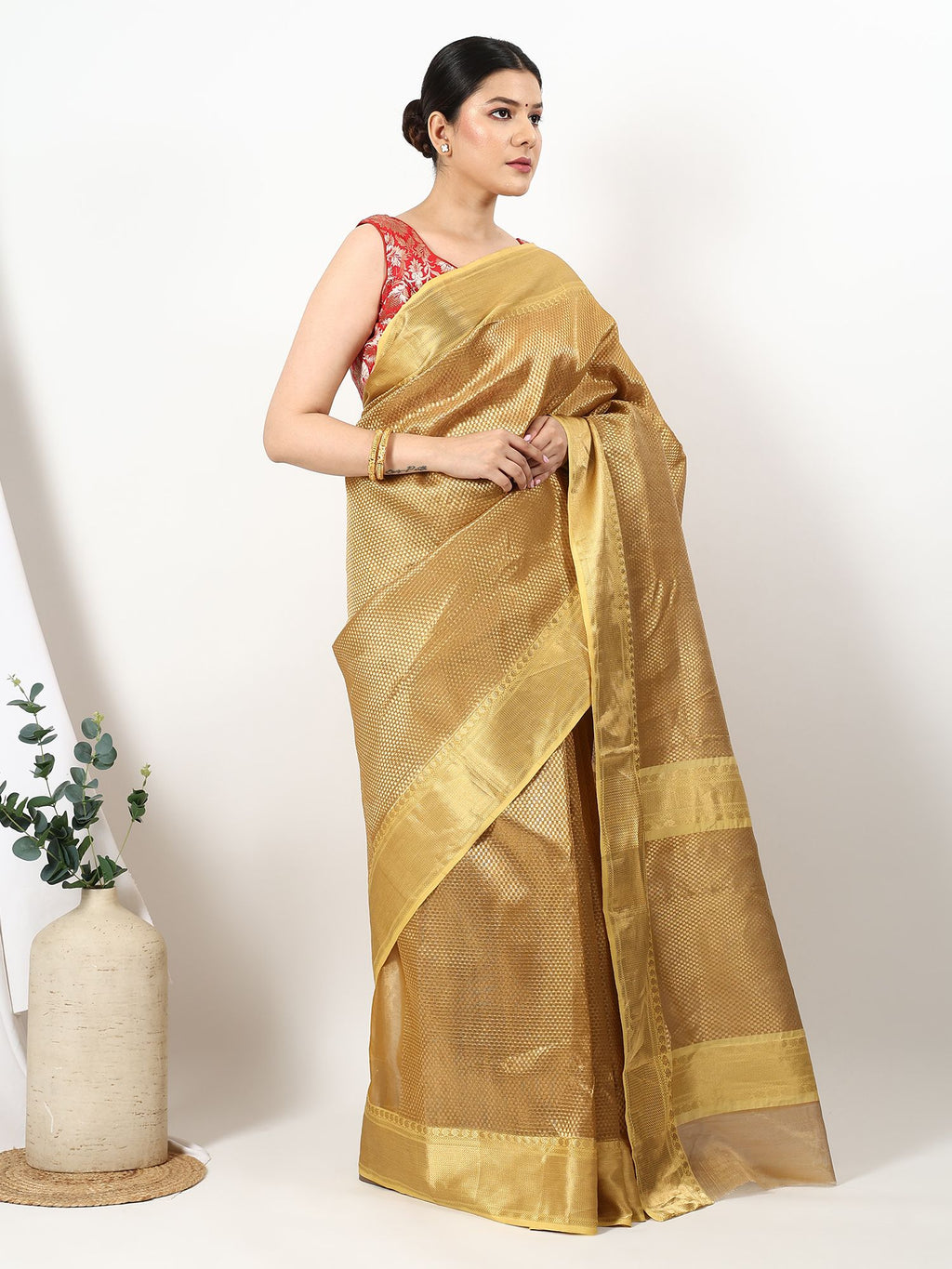 Rekha Taraj - Chanderi Silk Saree